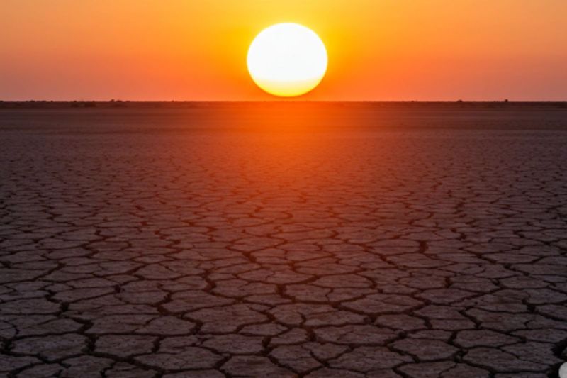 Nautapa ,Heatwave ,Scorching heat, Sun intense heat ,Rohini Nakshatra , Indian calendar ,Summer, Humidity, Monsoon ,Water evaporation, Religious practices, Tree plantation ,Donation Offering water to the Sun ,Sun worship ,Serving animals and birds