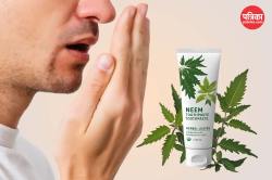 Neem Herbal Toothpaste: नीम के पत्तों से बनाएं हर्बल मंजन, मुंह से आने वाली बदबू
हो जाएगी दूर - image