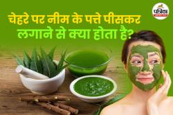 Neem Paste For Skin: गर्मी में नीम के पत्ते पीसकर चेहरे पर लगाने से क्या होता
है? जानिए यहां - image