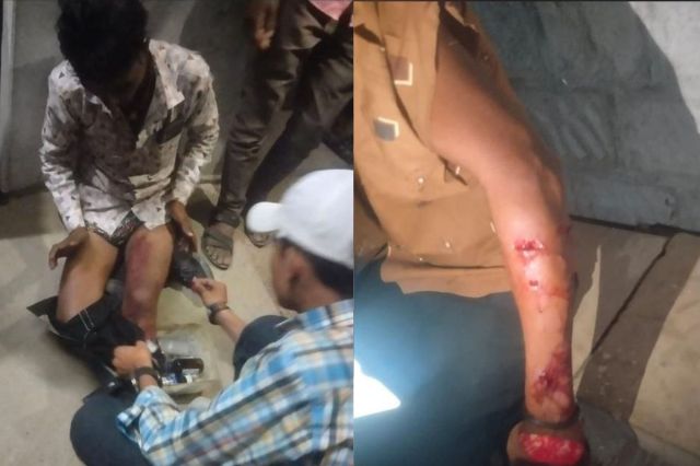 Panther Attack in balotra