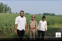 Panther : यूपी के इस जिले में डंडा लेकर तेंदुए की तलाश में निकली वन विभाग की टीम - image