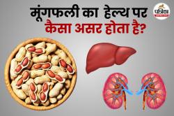Side Effects Of Peanuts: मूंगफली का सेवन लिवर और किडनी के लिए हो सकता है
नुकसानदायक, जानें सच्चाई - image