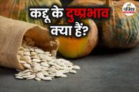 Negative effects of pumpkin seeds फोटो सोर्स -Freepik