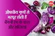 Purple fruits and vegetables: स्किन ग्लो से लेकर हार्ट हेल्थ तक, बैंगनी
फल-सब्जियों के फायदे चौंका देंगे