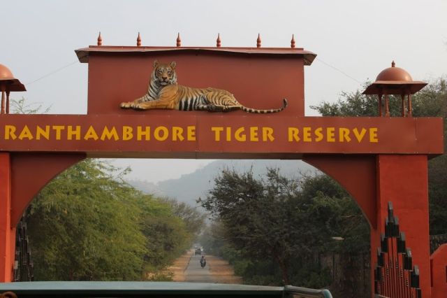 रणथम्भौर टाइगर रिजर्व 