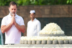 राजीव गांधी की बरसी पर राहुल ने पिता से किया एक वादा, बचपन की फोटो शेयर कर किया
याद - image