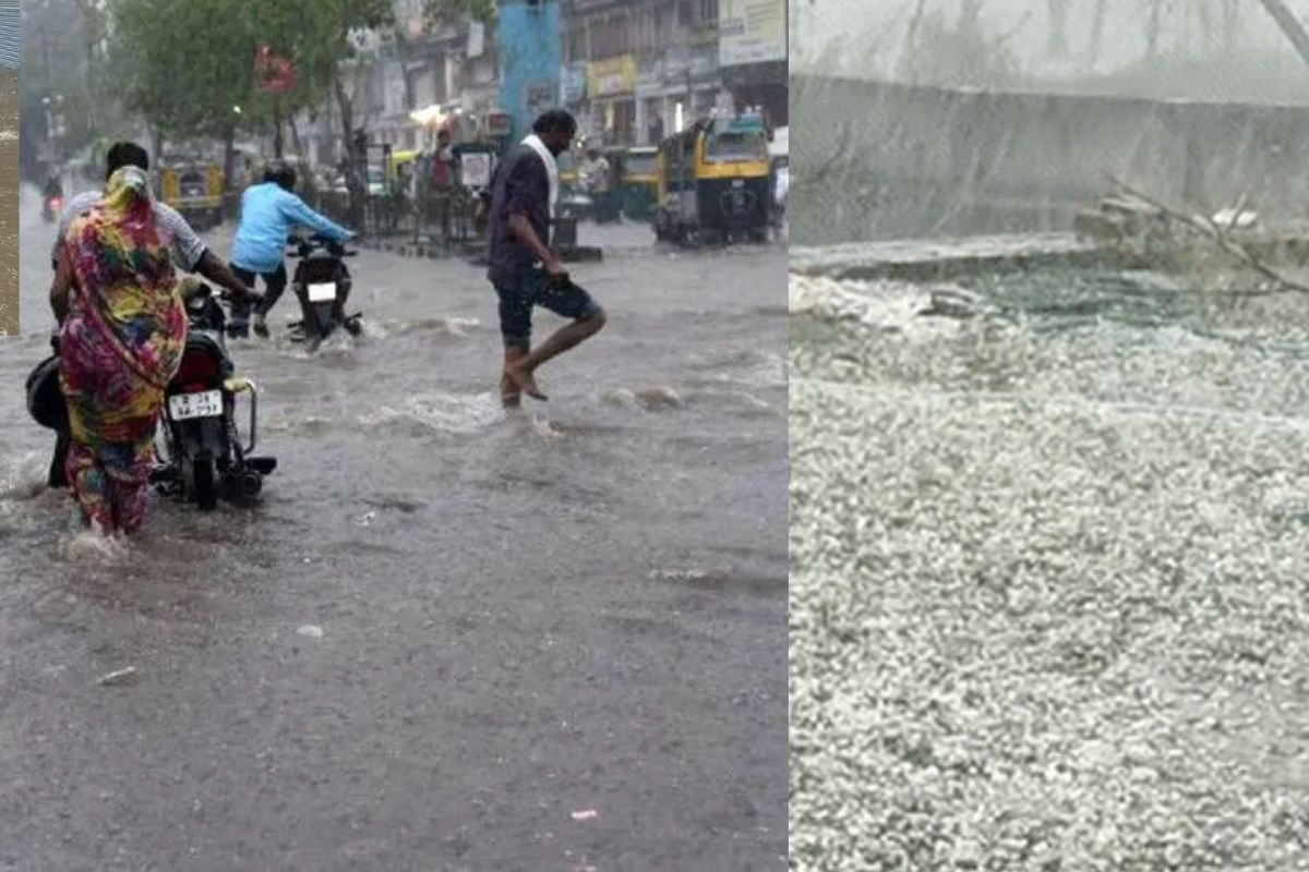 मूसलाधार बारिश के बीच IMD का बड़ा ALERT, ओले और बिजली गिरने के साथ इन जिलों में
होगी बारिश, चलेगा अंधड़