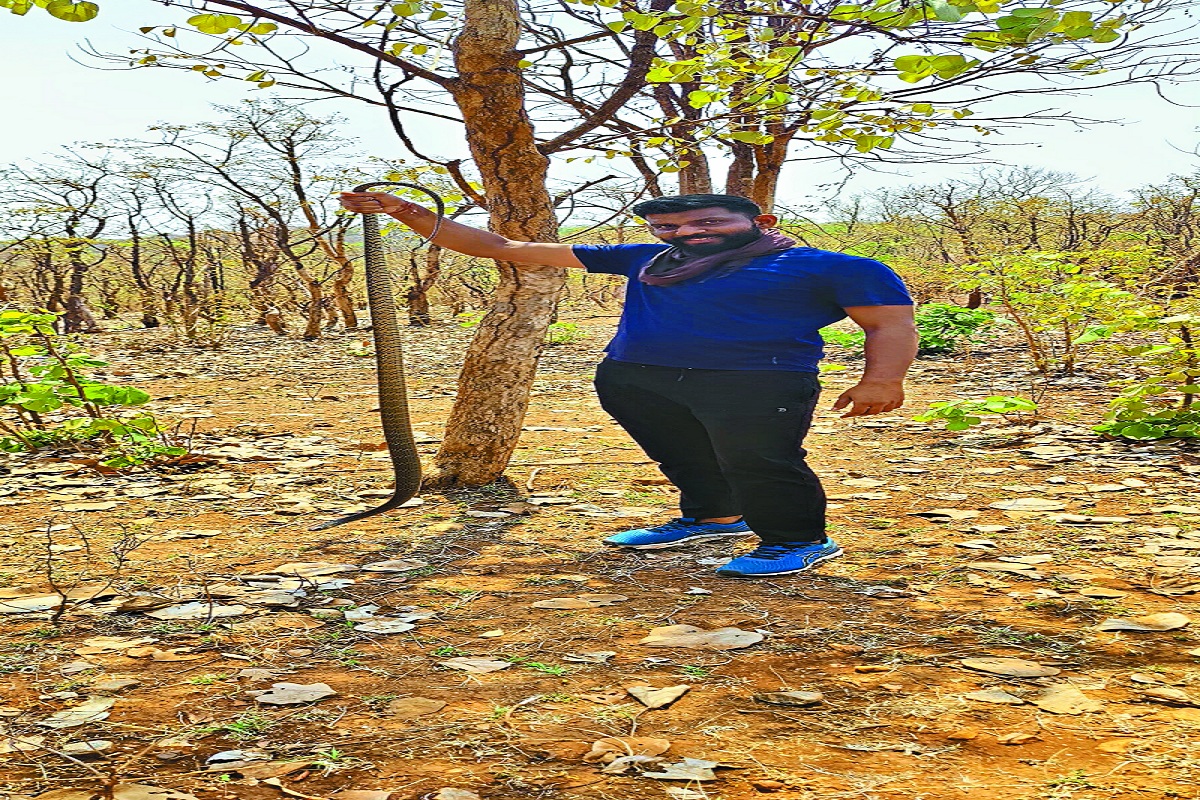CG News: छत्तीसगढ़ का सर्प रक्षक युवा, अब तक पकड़ चूका 300 से अधिक सांप