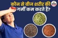 Natural seeds for heat stroke treatment फोटो सोर्स – Freepik