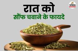 Eating Saunf At Night: रोज रात खाने के बाद सौंफ चबाने से मिल सकते है ये 5 फयदे - image