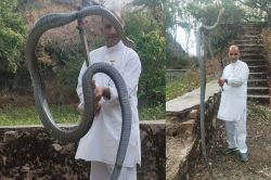 पर्यटन स्थल माउंट आबू में घूम रहे 10 फीट लंबे सांप का किया रेस्क्यू, कई दिनों से
दहशत में थे आसपास के लोग - image