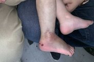 Snake bite: घर में बने बिल से फन उठाए निकला सांप, खेलते-खेलते पास चला गया 2 वर्षीय बालक, डसने से मौत