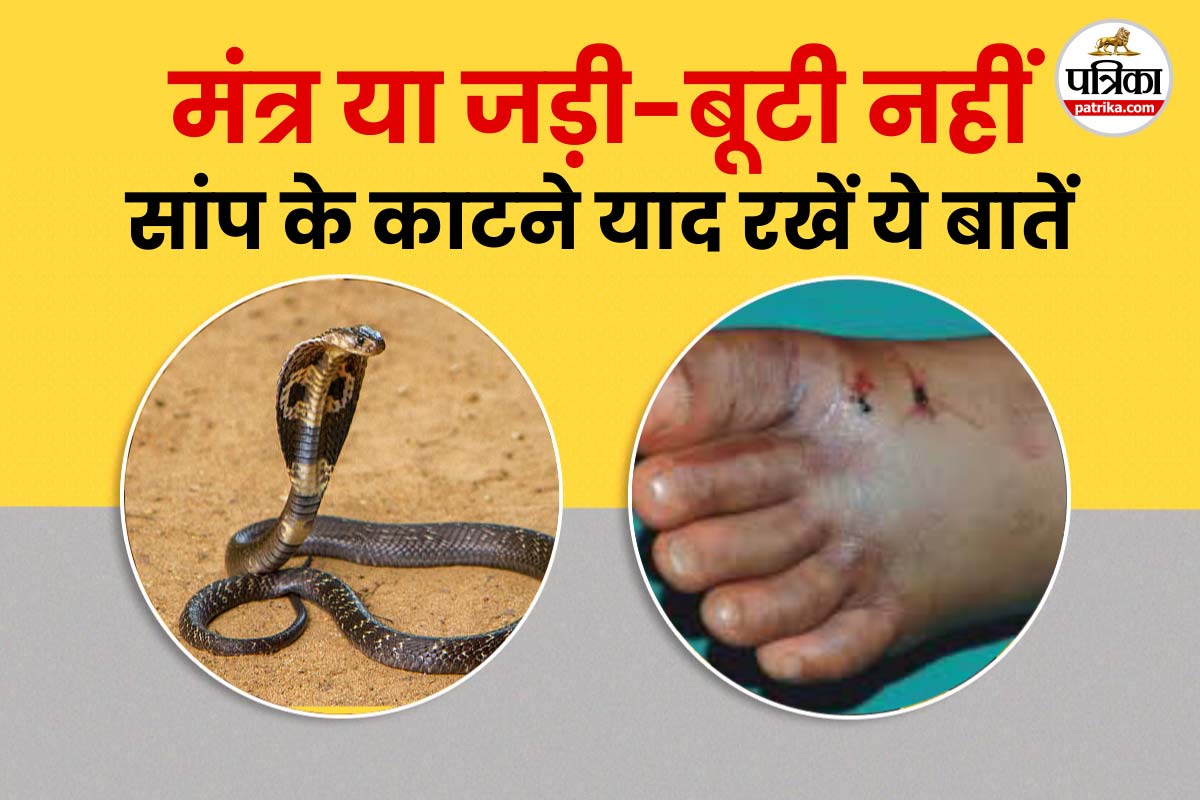 First aid For Snake Bites, Snake Bites Prevention, Sanp Ke Katne Par Kya Kare, Health Ministry Of India, Snake Bites Guidelines,