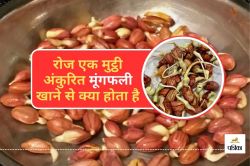 Sprouted Peanuts Benefits : रोज एक मुट्ठी अंकुरित मूंगफली खाने से क्या होता है,
जानिए - image
