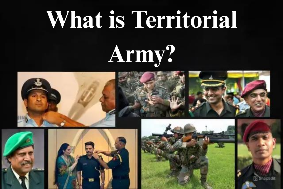Territorial Army Salary and Details - image