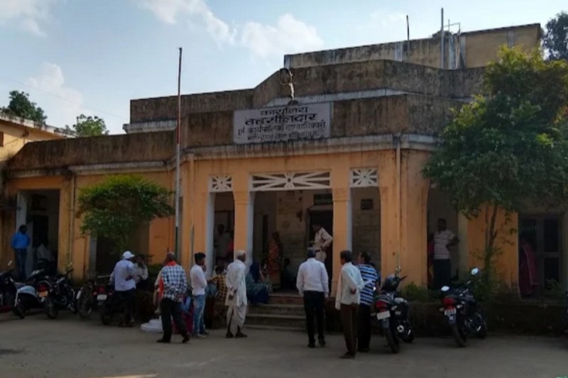 Action against Tehsildar: बिना NOC जमीनों की रजिस्ट्री, हटाए गए तहसीलदार, कलेक्टर बोले- इसके सीआर में लिखें ये बातें