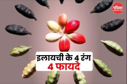 Types of Cardamom: इलायची के 4 रंग, 4 काम, जानिए कौन सी इलायची कब और कैसे होती
है फायदेमंद - image
