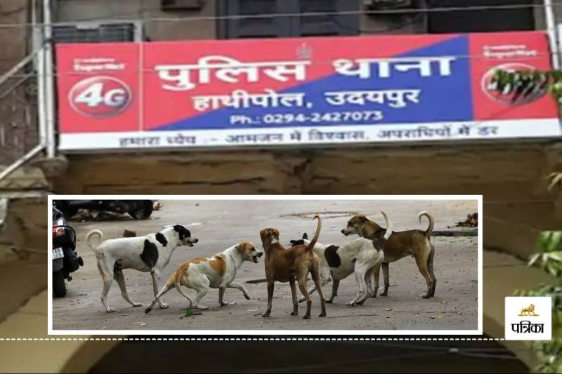 Udaipur Heart Shocking incident RNT Medical College Newborn Baby Body Tearing Dogs