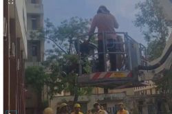 Blackout Drill: एयर स्ट्राइक के बाद ब्लैकआउट ड्रिल में आमजन के लिए 20
दिशा-निर्देश, जानिए पूरी सूची - image