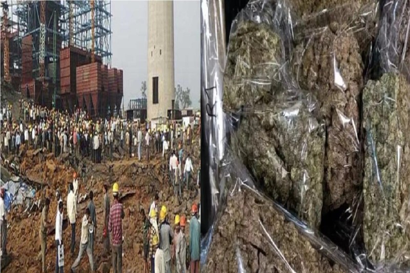 CG News: बालको की चिमनी में नष्ट किया गया 13 किलो गांजा, 1032 कैप्सूल और 692 टेबलेट