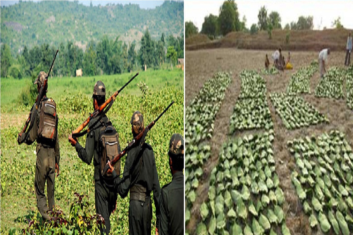 नक्सलियों की नई प्लानिंग! तेंदूपत्ता खरीदी के बीच कैंप डालकर लेवी वसूली की फिराक में नक्सली…