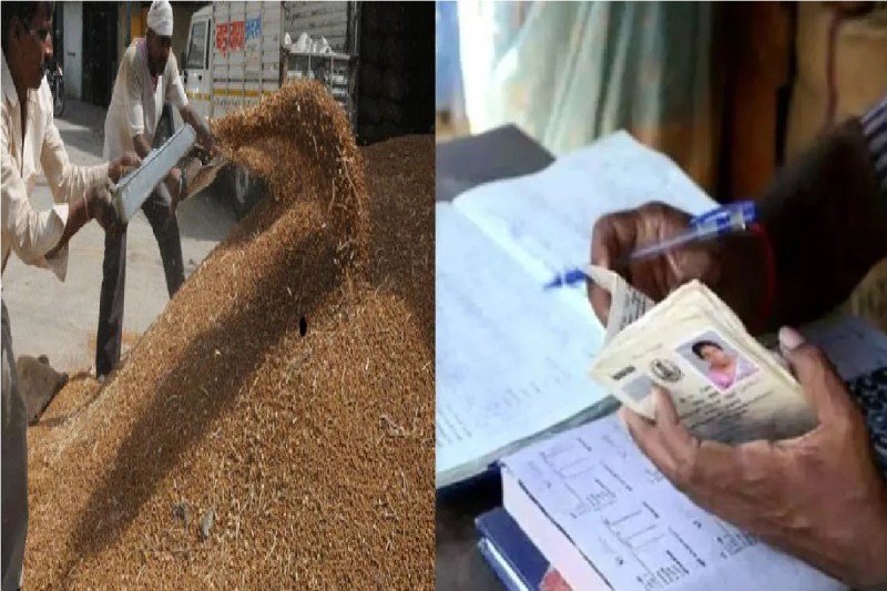 9 माह बाद भी चना बीज घोटाले पर विभाग चुप, दोषियों पर नहीं हुई कार्रवाई, आखिर कब मिलेगी सजा?(photo-patrika)