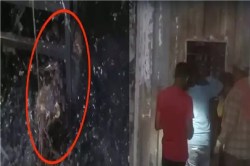 खाना बनाते समय हुआ सिलेंडर ब्लास्ट! रायपुर में UP के 2 मजदूर जिंदा जले, एक ने
बचाई अपनी जान… - image