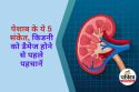 Urine Symptoms of Kidney Damage : पेशाब में रोजाना दिखें ये 5 लक्षण तो समझ जाएं
किडनी हो रही है डैमेज