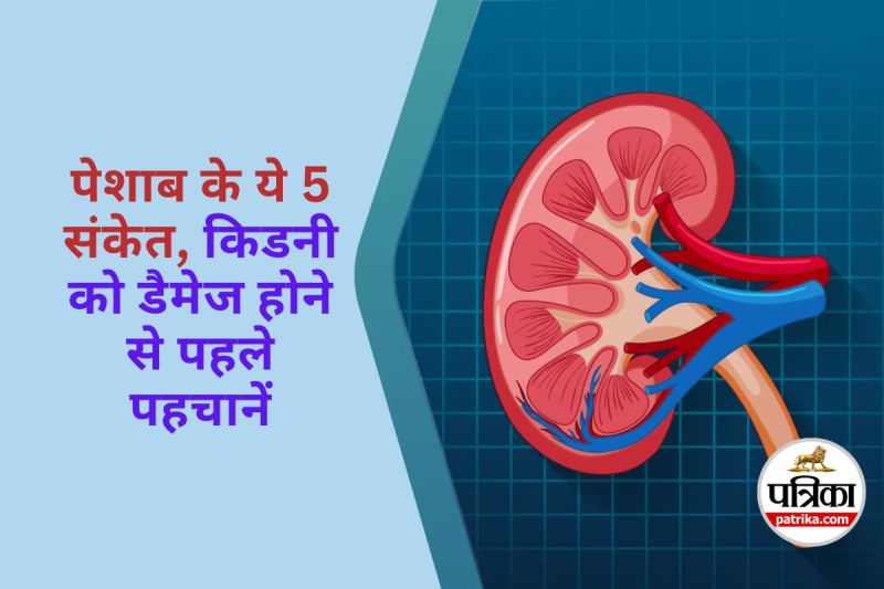 Urine Symptoms of Kidney Damage