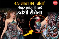 Urvashi Rautela Cannes 2025 Red Carpet Look