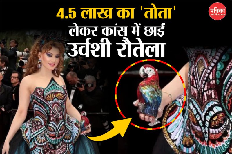 Urvashi Rautela Cannes 2025 Red Carpet Look