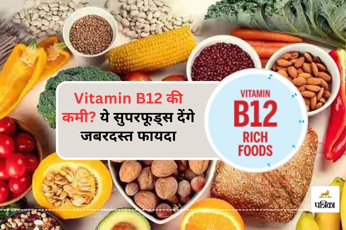 Vitamin B12 Rich Veg Foods : इन चीजों में सबसे ज्यादा पाया जाता है Vitamin B12