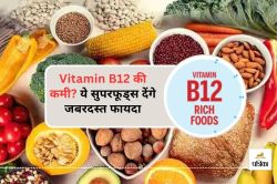 Vitamin B12 Rich Veg Foods : इन चीजों में सबसे ज्यादा पाया जाता है Vitamin B12 - image
