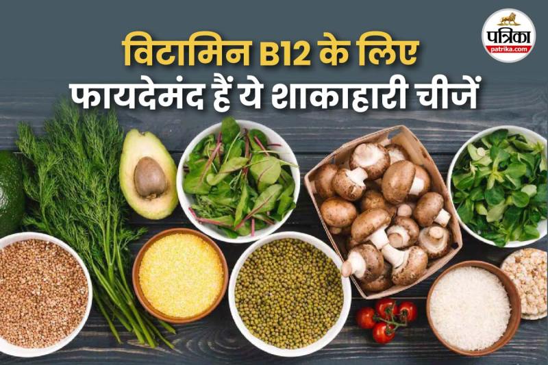 Vitamin B12 rich vegetarian foods