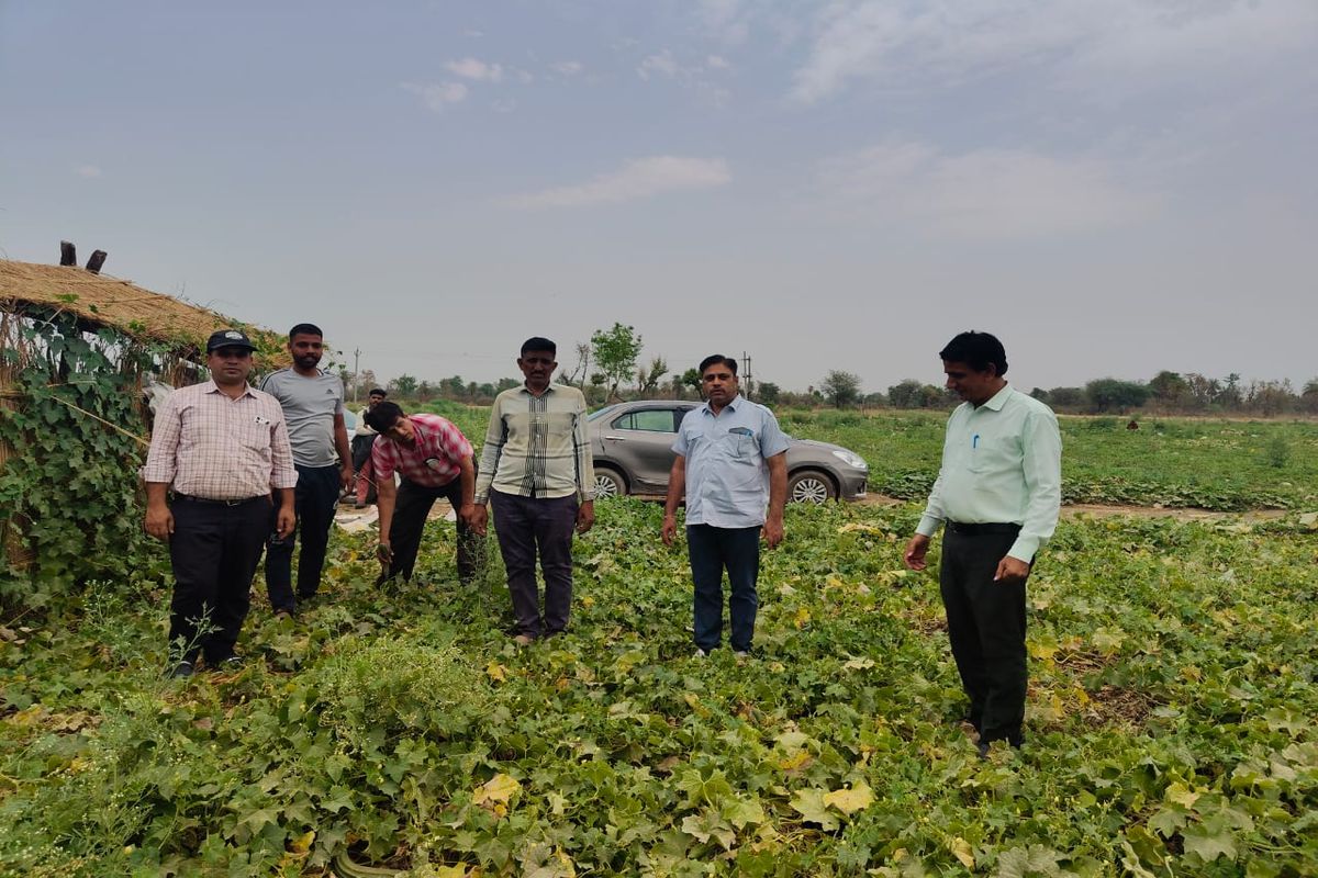 Assistant Director inspected farmer service centers and zaid crops
