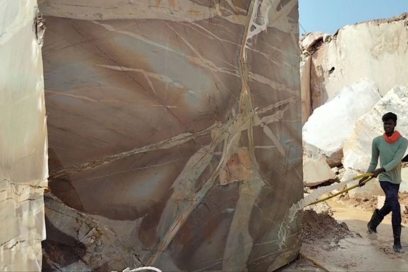 Community cattle sheds will be built for the cattle roaming on the streets