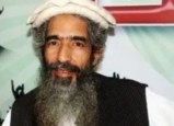 Amir Hamza