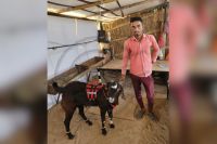 bakra eid 2025
