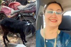 ये हैं पशु प्रेमी… 5 हजार के बकरे के लिए खर्च किए 25 हजार, तस्करों के भी छूटे
पसीने, जाने क्या है पूरा मामला - image