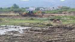 15 भवन मालिकों को मिला अंतरिम स्थगन - image