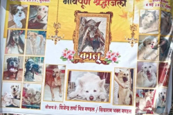 कुत्ते की तेरहवीं में जलेबी-पनीर का भोज, मोहल्ले ने कराया मुंडन! - image