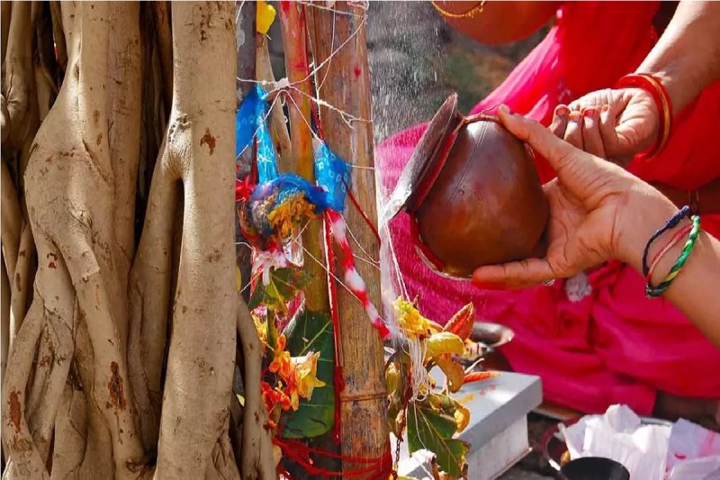 वट सावित्री व्रत आज! सोमवती अमावश्या का है अद्भुत संयोग(photo-patrika)