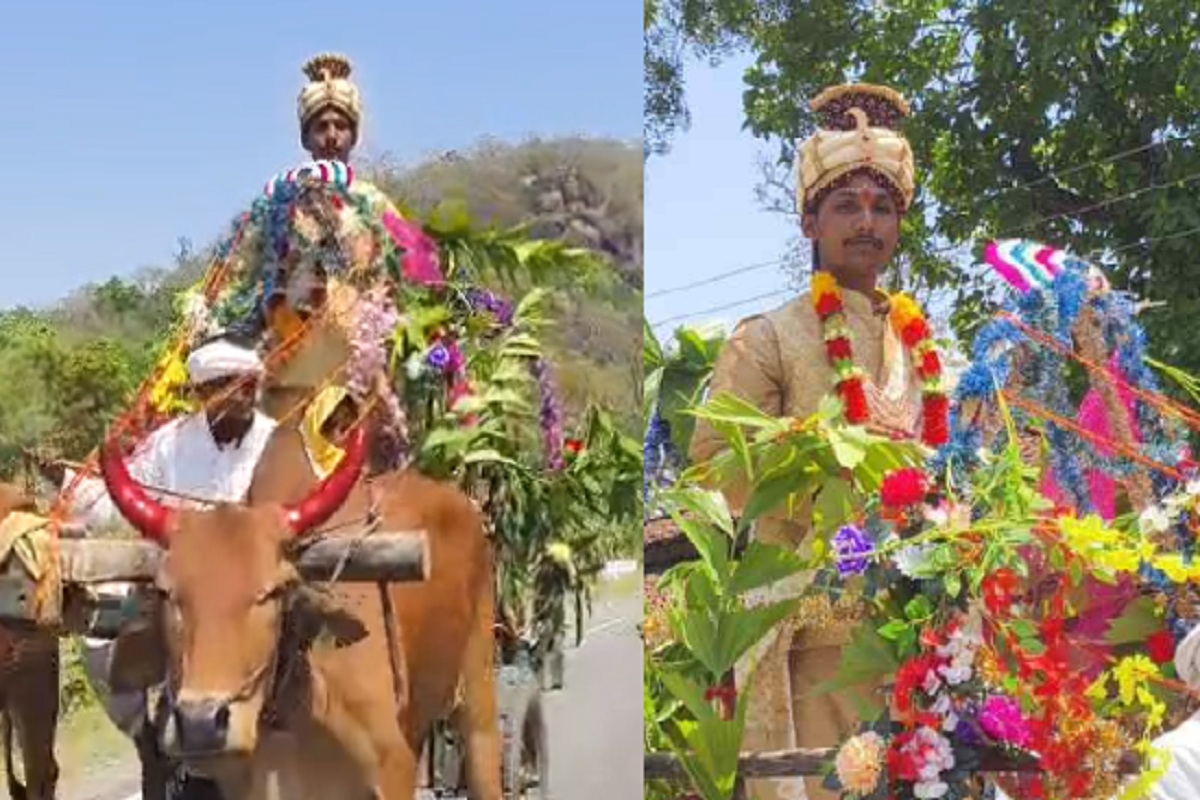 CG News: बैलगाड़ी से निकली बारात, जमकर हुई तारीफ, देखें वीडियो