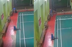 Raipur News: रायपुर के बैडमिंटन कोर्ट में खिलाड़ी की मौत, थककर बैठा और गिर पड़ा,
वीडियो आया सामने… - image