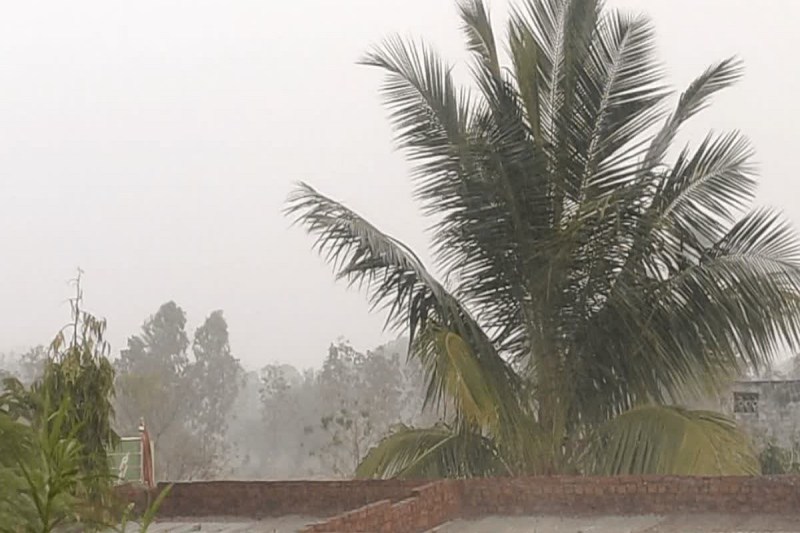 CG Monsoon 2025: छत्तीसगढ़ में 5 जून तक पहुंच सकता है मानसून, 3 दिन आंधी-बारिश के आसार