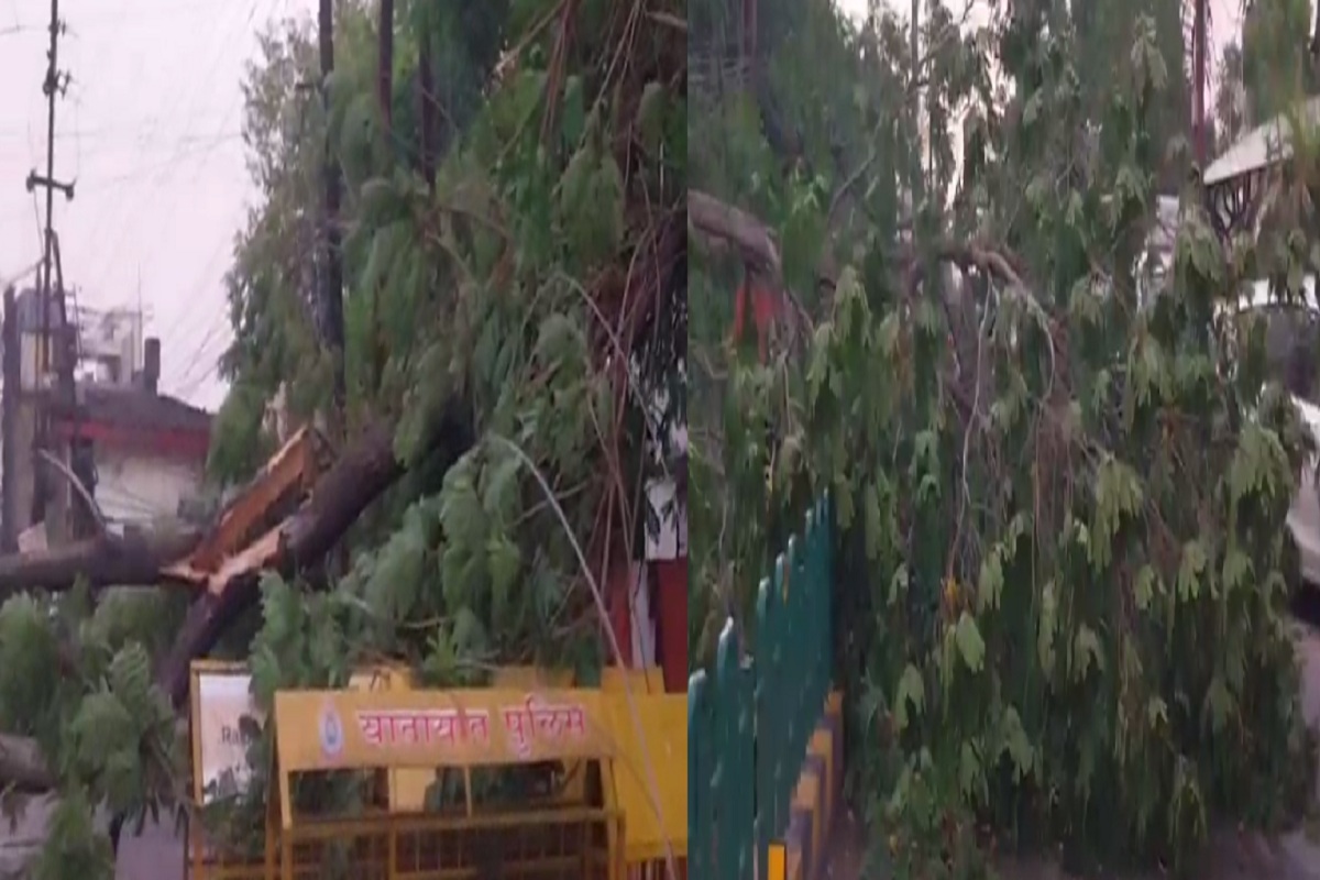 Raipur News: रायपुर में चली तेज आंधी, सिविल लाइन इलाके में गिरा विशालकाय पेड़,
देखें वीडियो