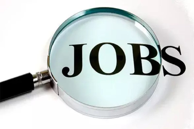 बलौदाबाजार में प्लेसमेंट (Photo source- Patrika)