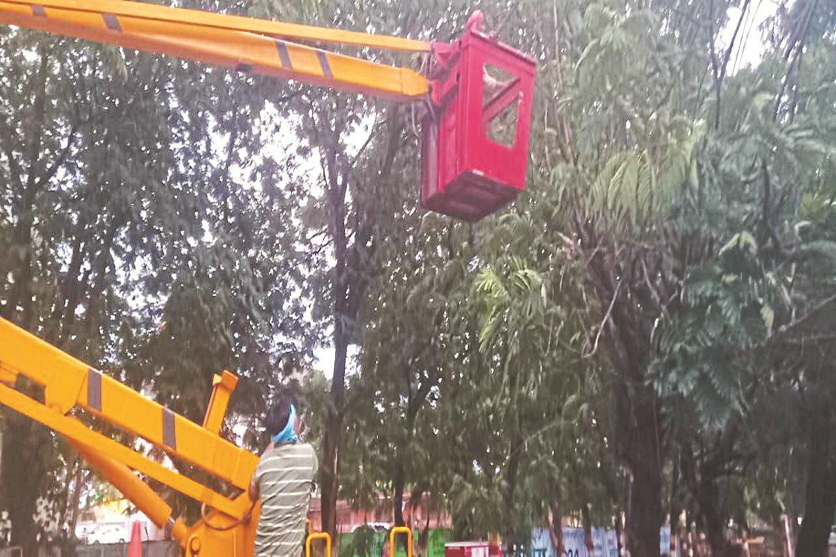 CG News: तेज आंधी के बीच महापौर खुद निकले, तूफान में गिरे पेड़ों को हटवाया