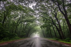CG Monsoon: 18 दिन पहले दंतेवाड़ा पहुंचा मानसून, लेकिन पिछले 24 घंटे में नहीं
हुई कोई बारिश - image