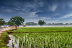 CG Weather: केरल पहुंचा मानसून, छत्तीसगढ़ में भी जल्द होगी एंट्री, लू की संभावना
हुई कम - image
